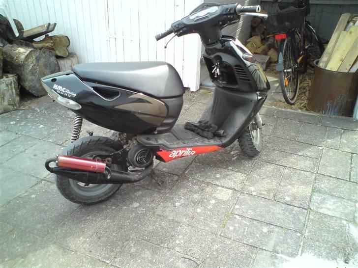 Aprilia sonic, Årgang billede 14