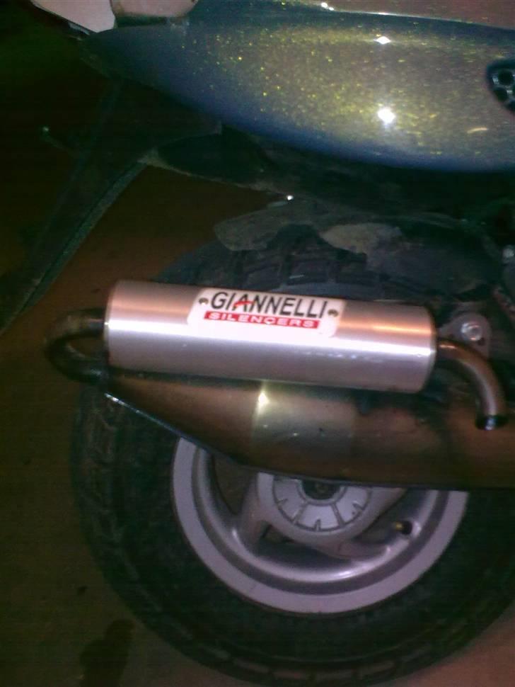 Gilera stalker byttet billede 5