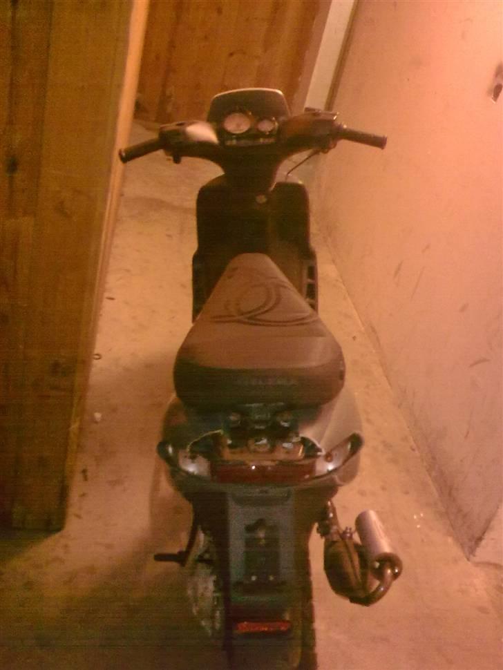 Gilera stalker byttet billede 6