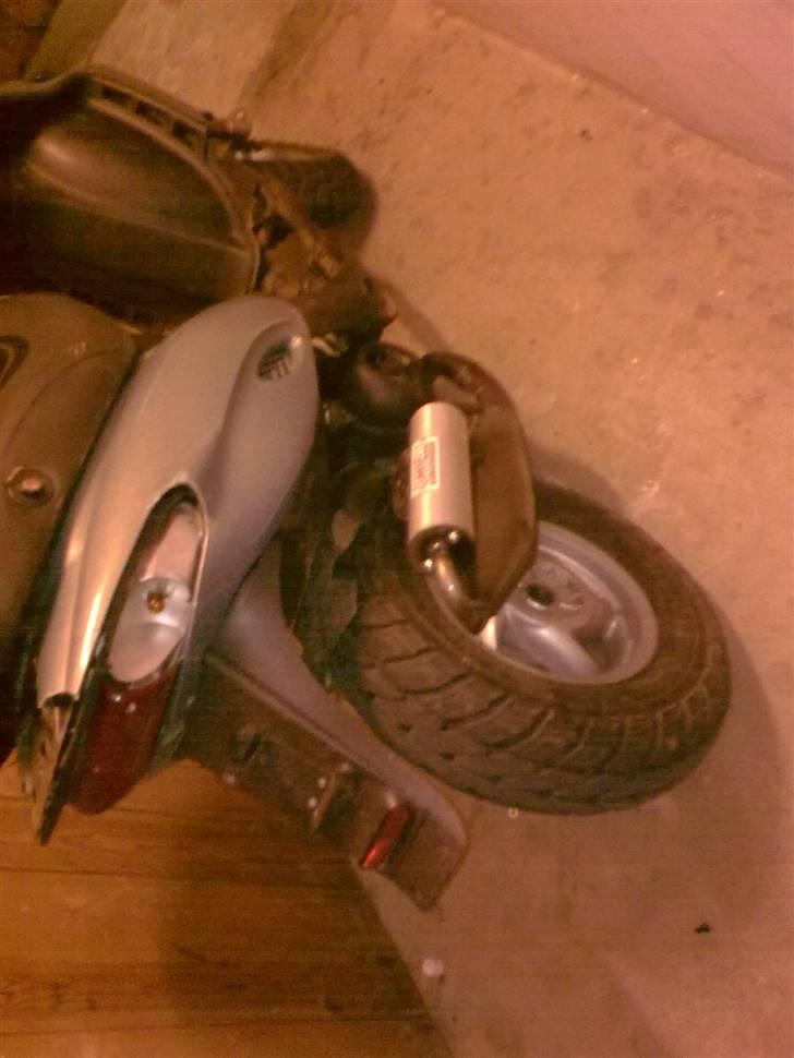 Gilera stalker byttet billede 7