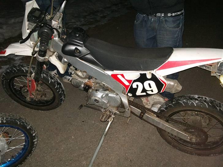 Apollo Orion   E 29 DD billede 7