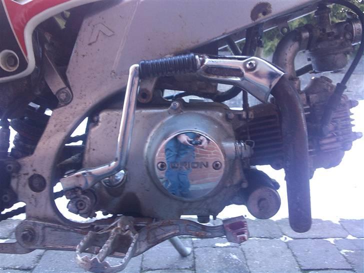 Apollo Orion   E 29 DD billede 10