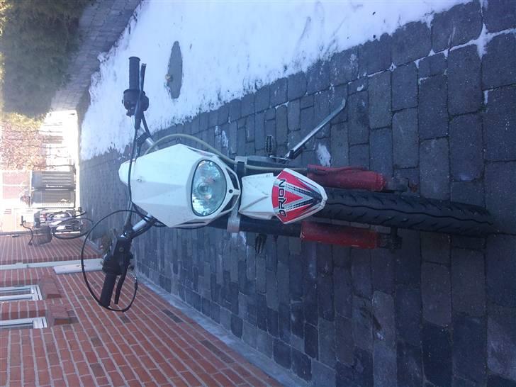 Apollo Orion   E 29 DD billede 12