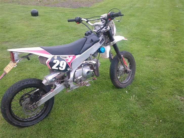 Apollo Orion   E 29 DD billede 16