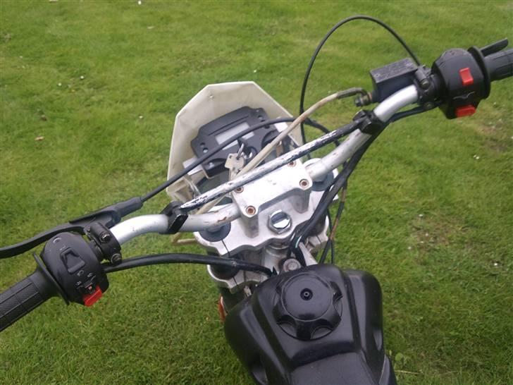 Apollo Orion   E 29 DD billede 18