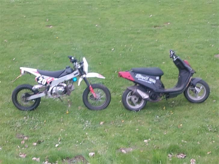 Apollo Orion   E 29 DD billede 19