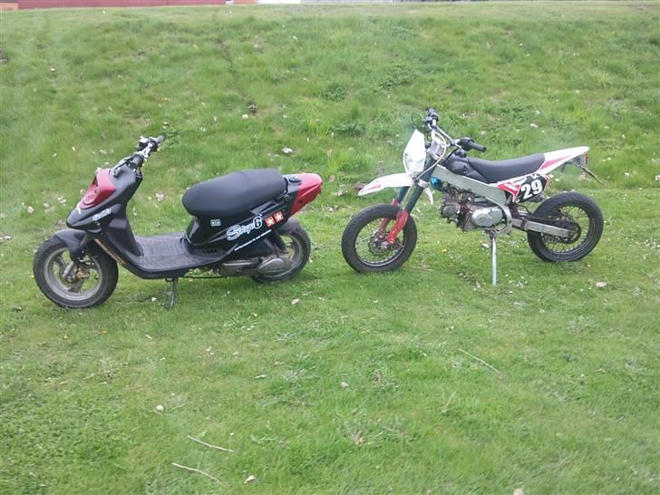 Apollo Orion   E 29 DD billede 20