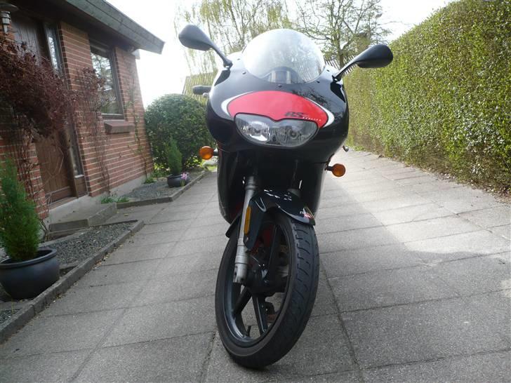 Aprilia RS50 billede 8