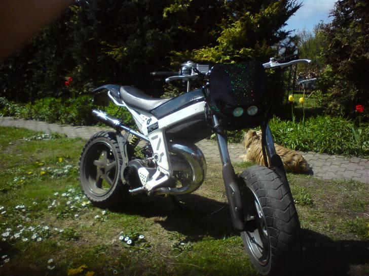 Suzuki street magic efter byttet billede 1