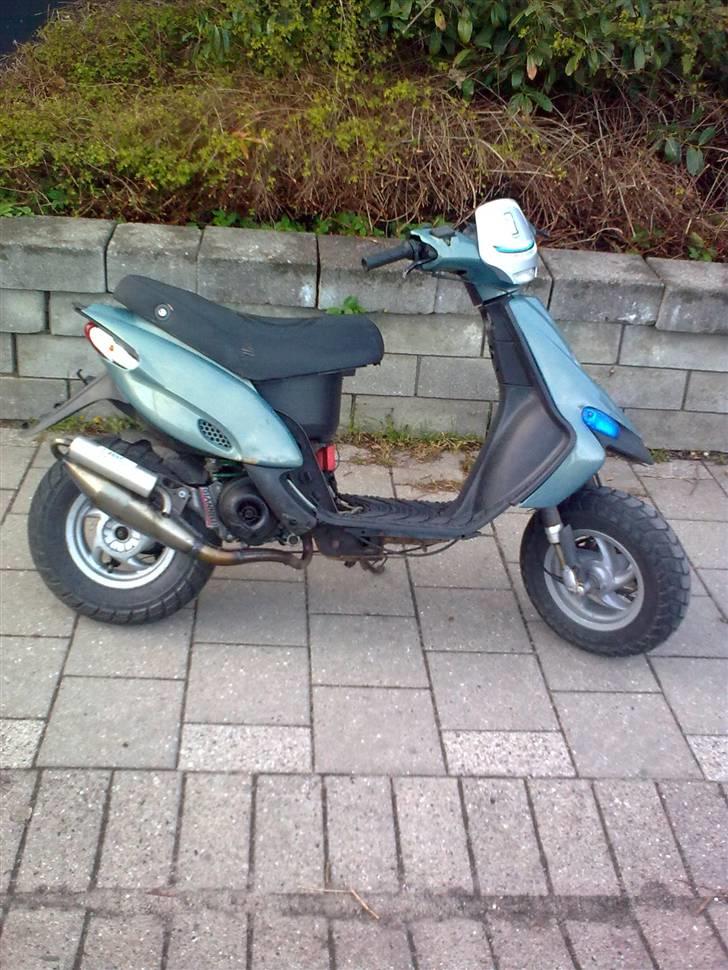 Gilera stalker byttet billede 10