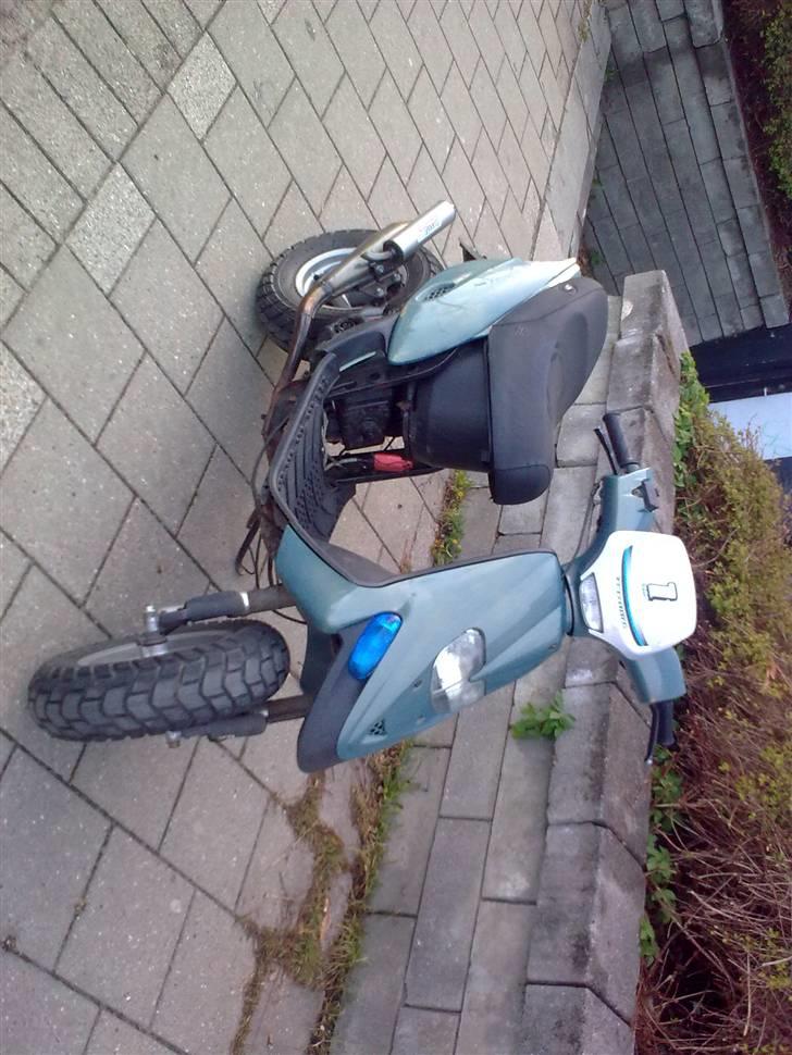Gilera stalker byttet billede 12