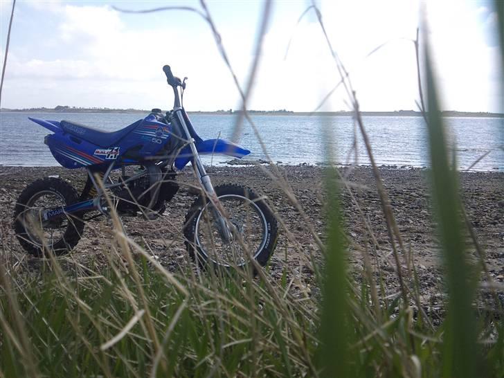 Tomos mc50 senior  billede 1