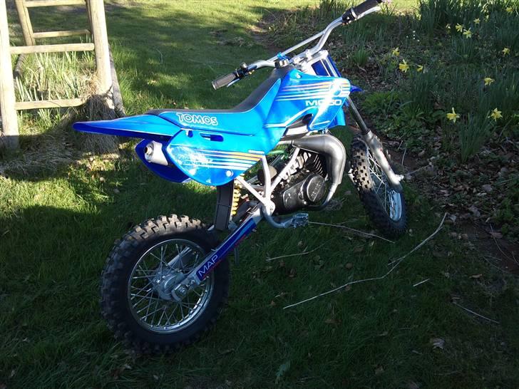 Tomos mc50 senior  billede 2
