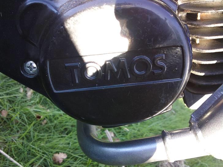 Tomos mc50 senior  billede 8