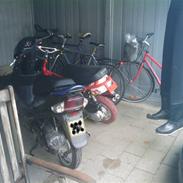 Giantco sprint Byttet til bws