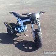 Suzuki  street magic 