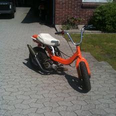 PGO fz/hot -racing ^solgt^