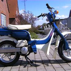 Suzuki Fz50 *SOLGT*