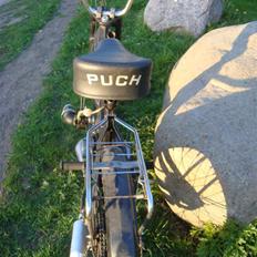 Puch Maxi K Athena Big Membran