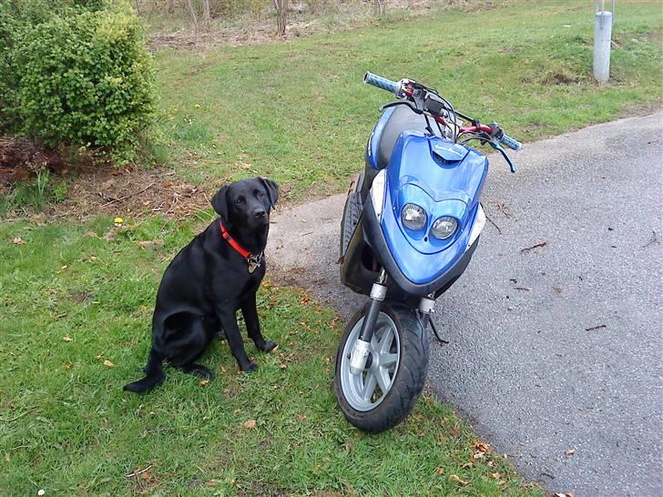 Yamaha bws ng SOLGT billede 3