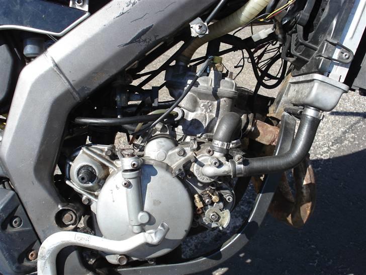 Derbi senda billede 3