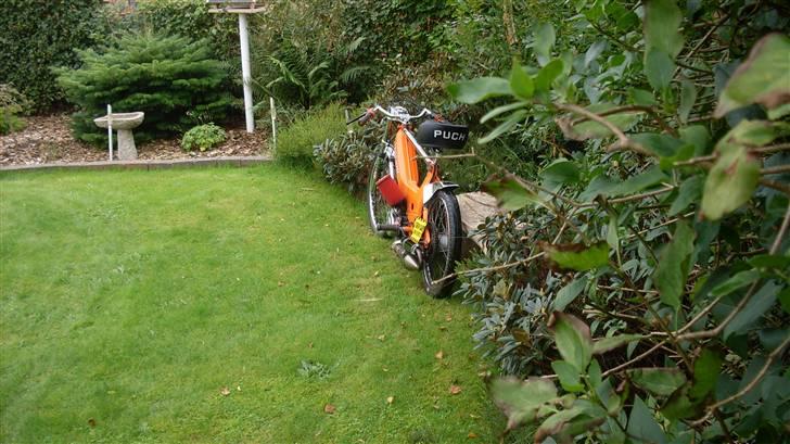 Puch Maxi k racer (Byttet) billede 5