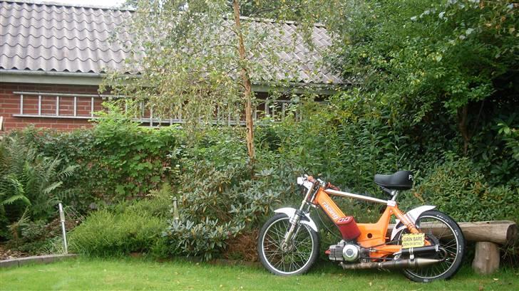 Puch Maxi k racer (Byttet) billede 6
