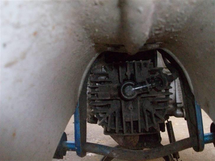 Suzuki fz50 billede 7