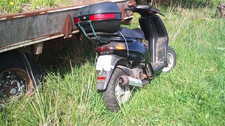 Piaggio typhoon(byttet til zip)  billede 3