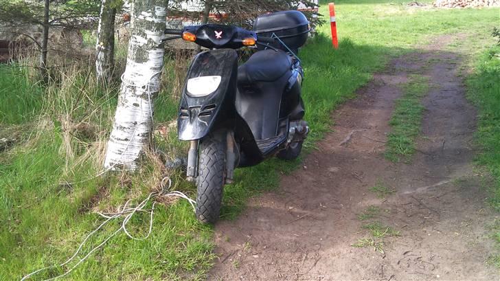 Piaggio typhoon(byttet til zip)  billede 11
