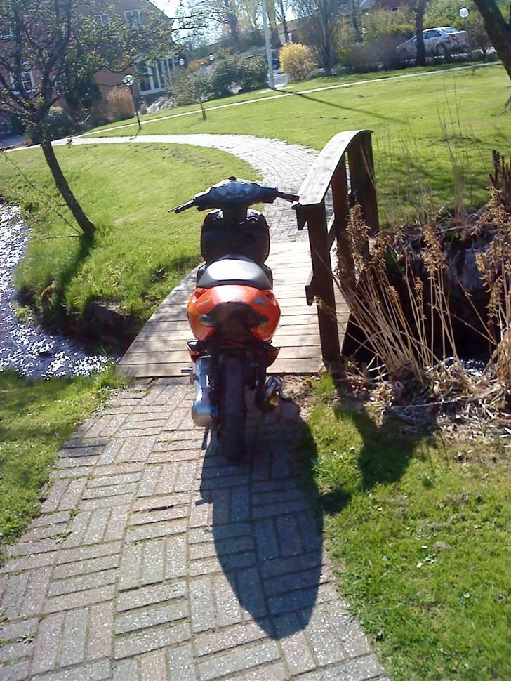 Aprilia Sonic Stage6 (Solgt) billede 6