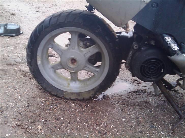 Benelli 491 GT ~SOLGT~ billede 6