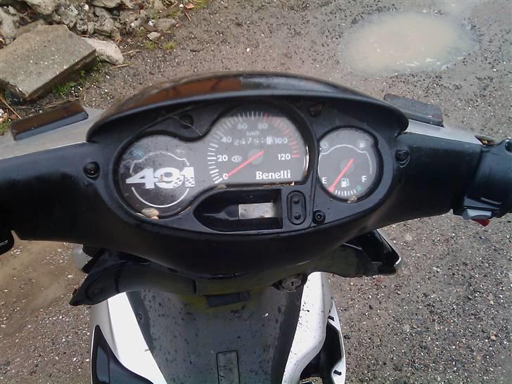 Benelli 491 GT ~SOLGT~ billede 8