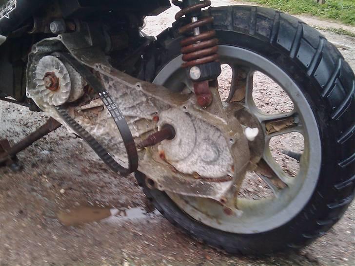 Benelli 491 GT ~SOLGT~ billede 10