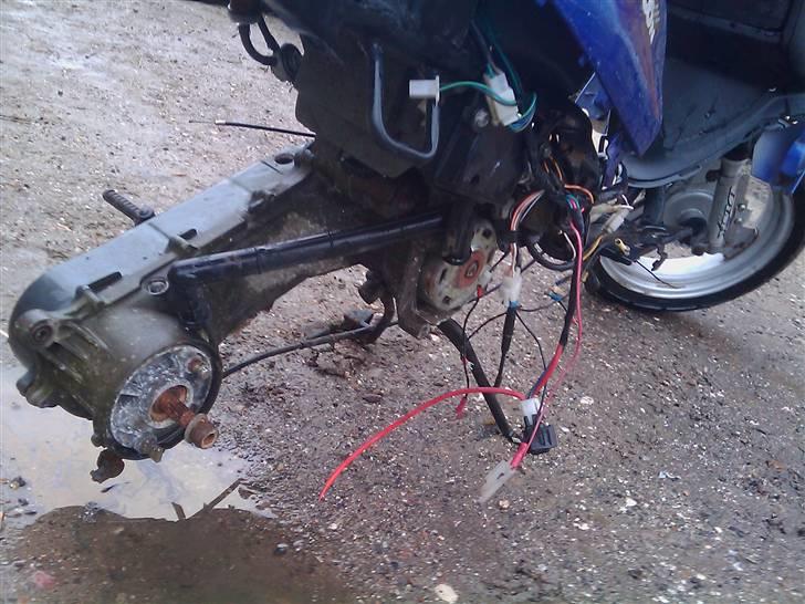 Adly  Baboon AC SD ~BYTTET~ billede 5