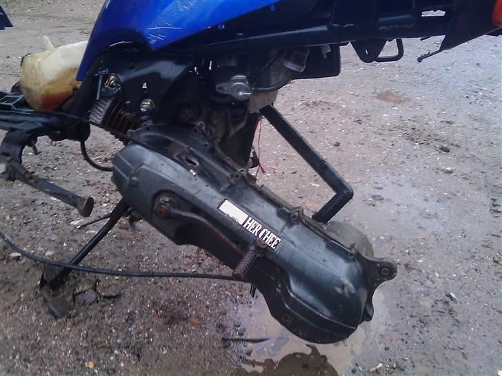 Adly  Baboon AC SD ~BYTTET~ billede 6