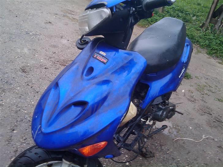 Adly  Baboon AC SD ~BYTTET~ billede 7