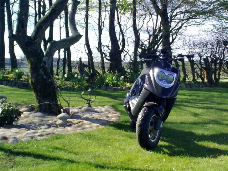 PGO Hot50 Hverdags scooter. billede 12