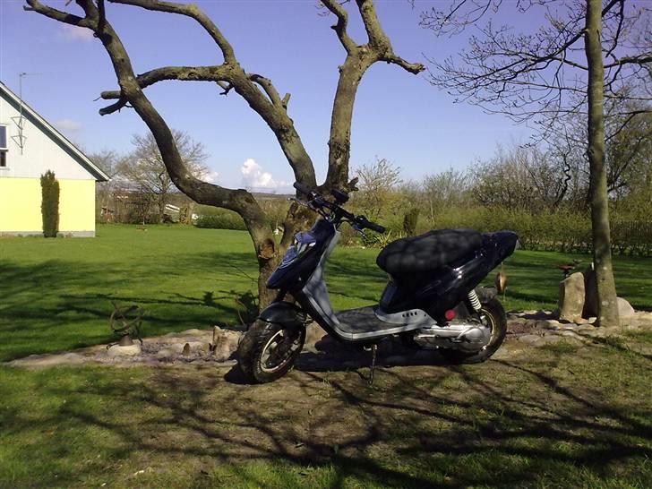 PGO Hot50 Hverdags scooter. billede 13