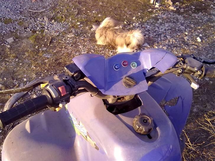 PGO x-rider billede 5