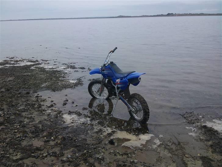 Tomos mc50 senior  billede 19