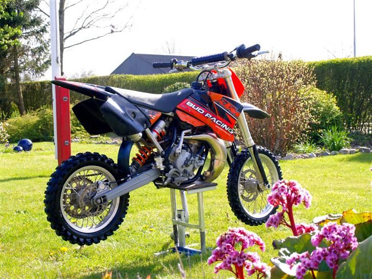 KTM SX 65 SOLGT billede 1