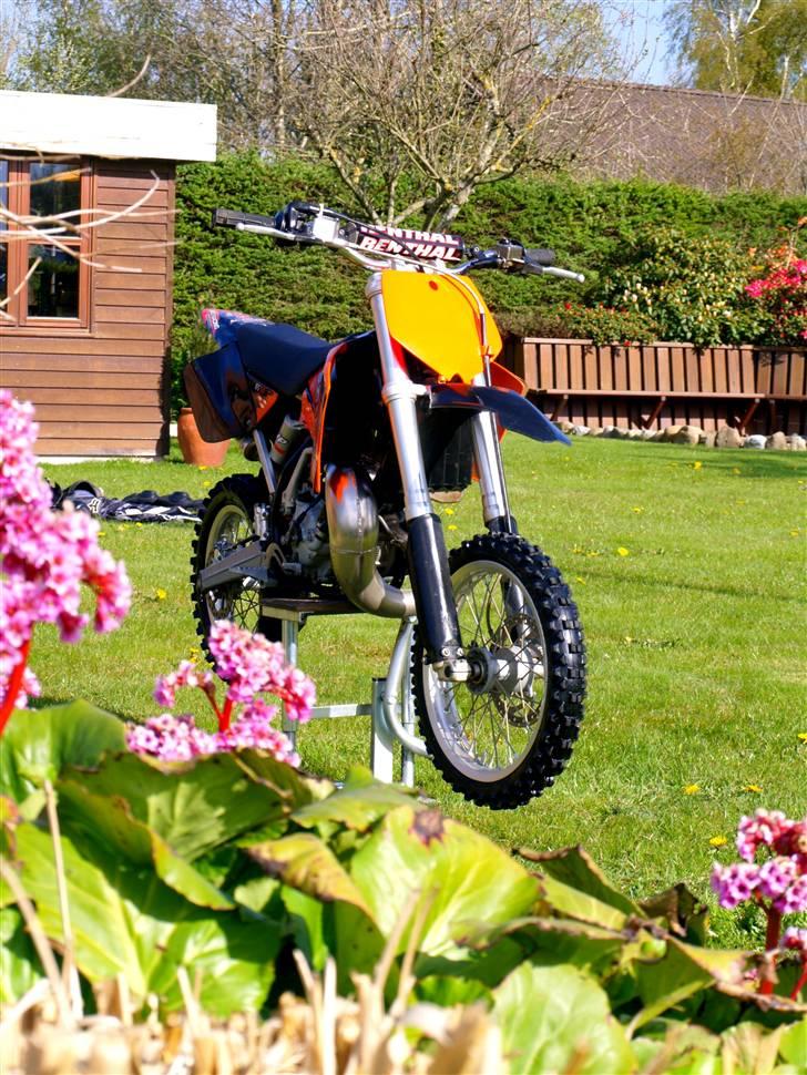 KTM SX 65 SOLGT billede 6