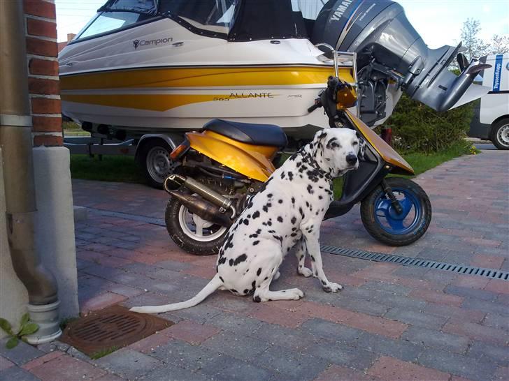 Yamaha Jog As. Byttet billede 3