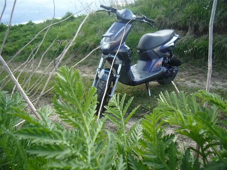 Yamaha HPR Slider /Totalskadet billede 7