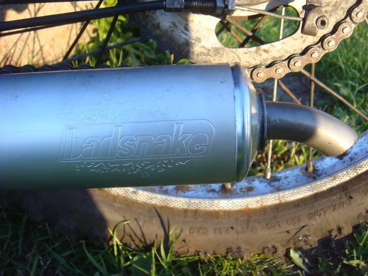 Puch Maxi K Athena Big Membran billede 6