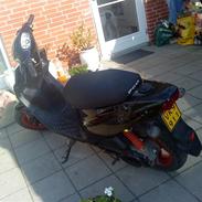 PGO Hot50  [Tidl. scooter]