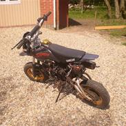 Shineray [Tidl. scooter]