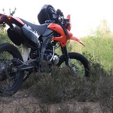 Apollo Orion   E30 SOLGT