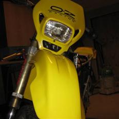 Suzuki RMX